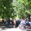 The crowd